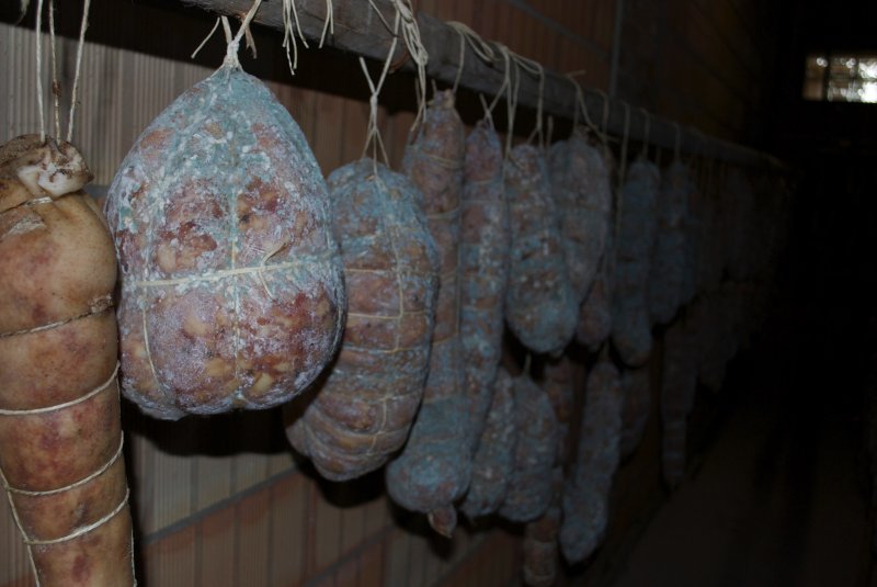 Our Salami