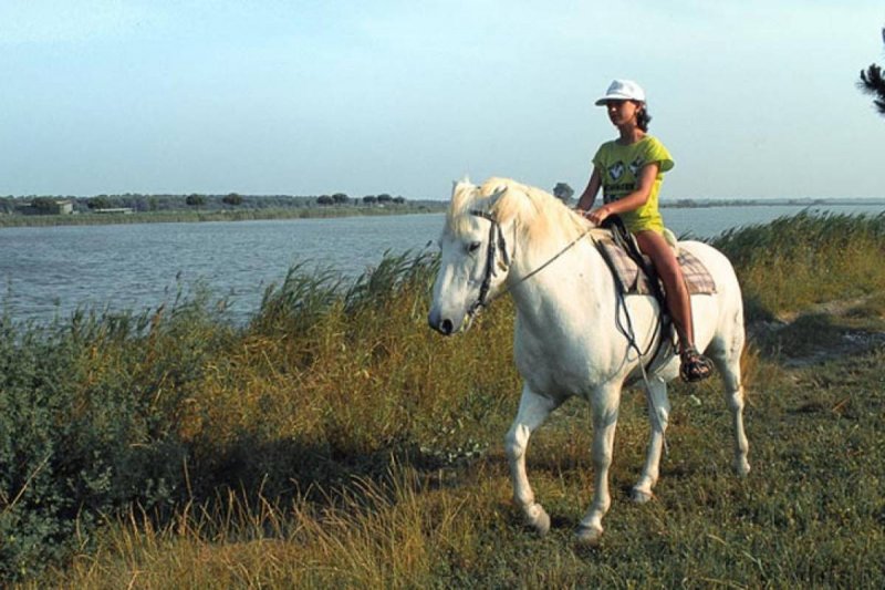 Escursioni a cavallo | Il Dosso Agriturismo